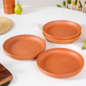 Terra Plates - Rustic Everyday Dining Plates Set of 4
